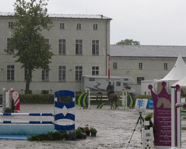 Reitturnier Neustadt/Dosse 2021