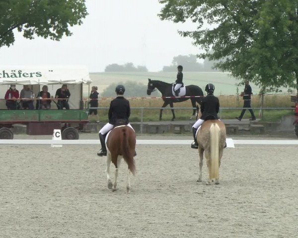 Reitturnier Ehningen 2021