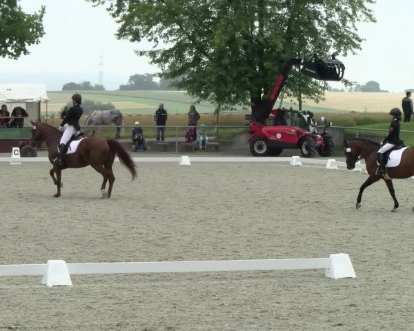 Reitturnier Ehningen 2021