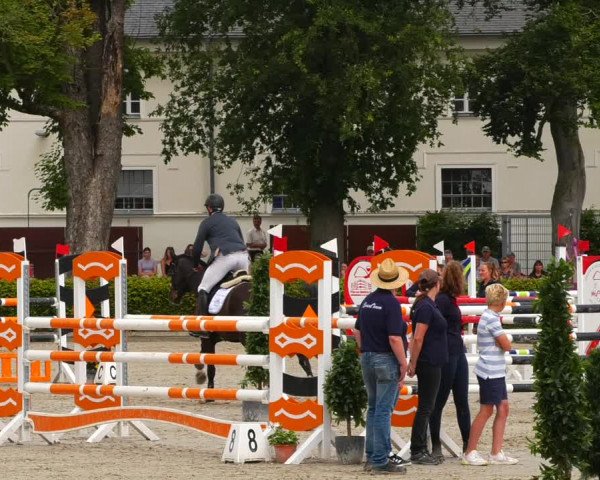 Reitturnier Neustadt/Dosse 2021