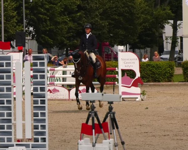 Reitturnier Neustadt/Dosse 2021