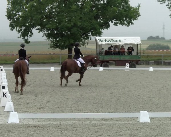 Reitturnier Ehningen 2021