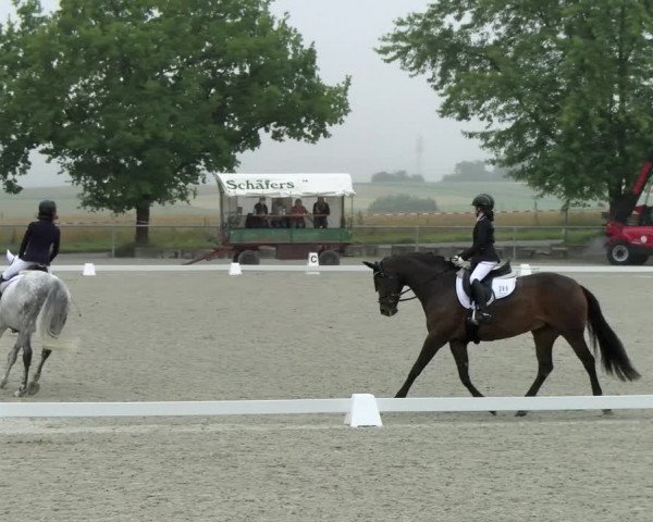 Reitturnier Ehningen 2021