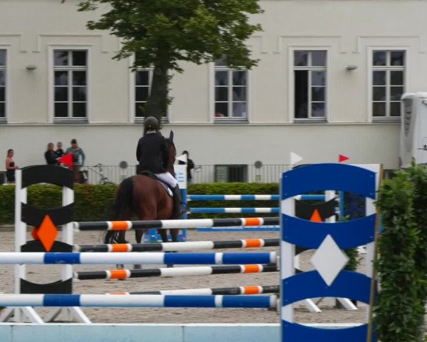 Reitturnier Neustadt/Dosse 2021
