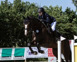 jumper Ferrana 3 (Württemberger, 2009, from Ferron)