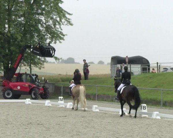 Reitturnier Ehningen 2021