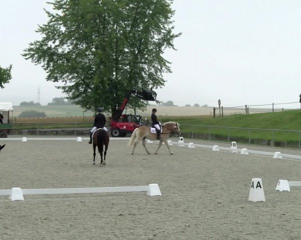 Reitturnier Ehningen 2021