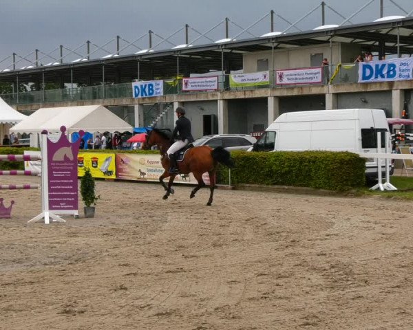 Reitturnier Neustadt/Dosse 2021