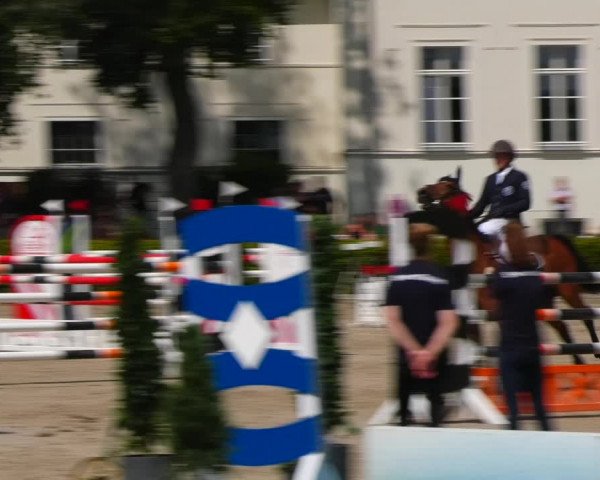Reitturnier Neustadt/Dosse 2021
