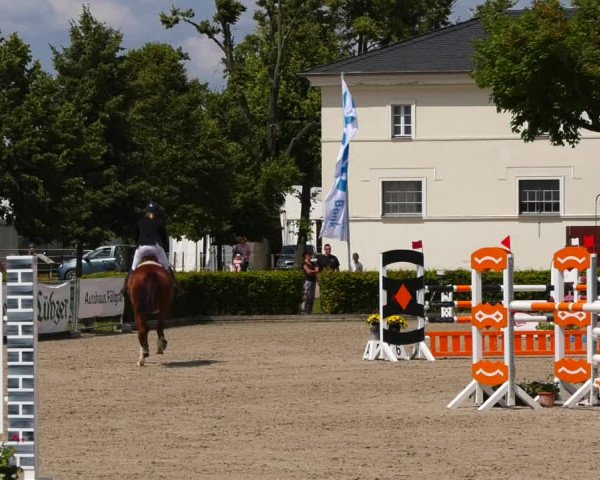 Reitturnier Neustadt/Dosse 2021