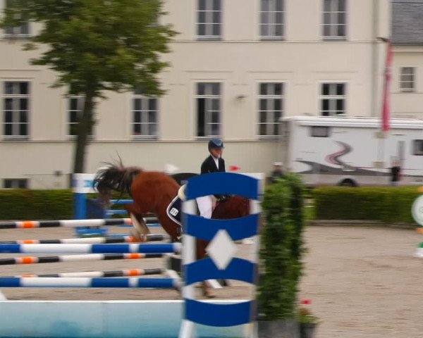 Reitturnier Neustadt/Dosse 2021