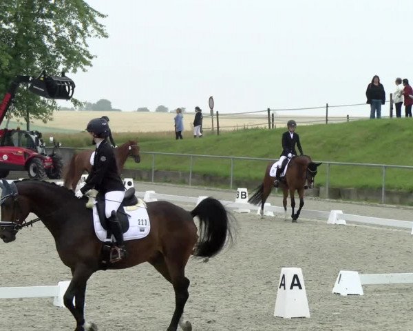 Reitturnier Ehningen 2021