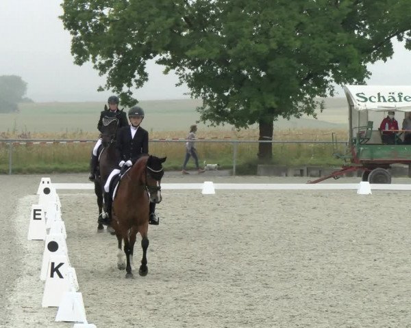 Reitturnier Ehningen 2021