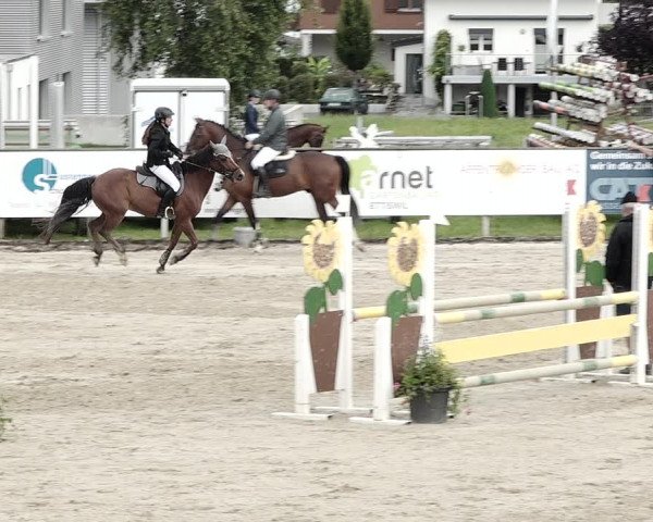 Reitturnier Dagmersellen 2021