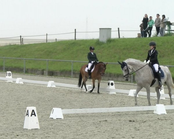 Reitturnier Ehningen 2021