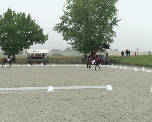 Reitturnier Ehningen 2021
