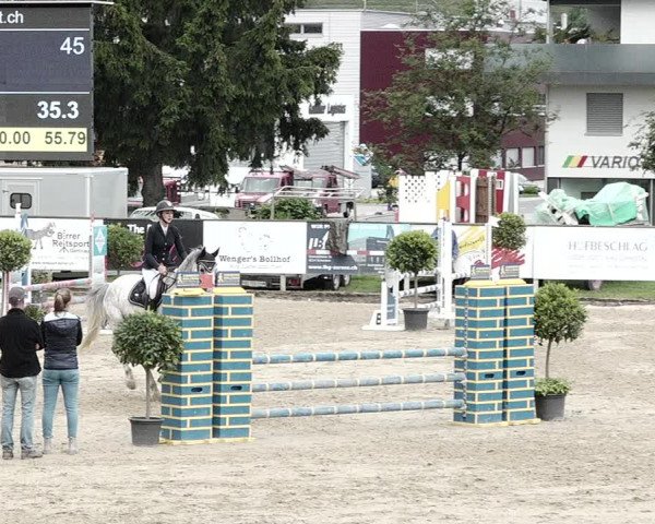 Reitturnier Dagmersellen 2021