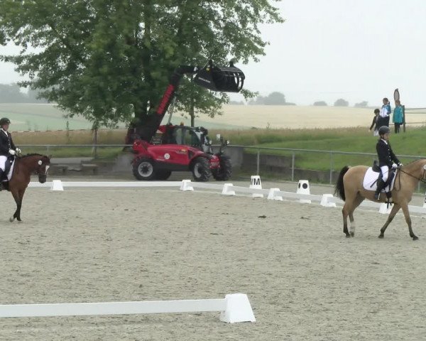 Reitturnier Ehningen 2021