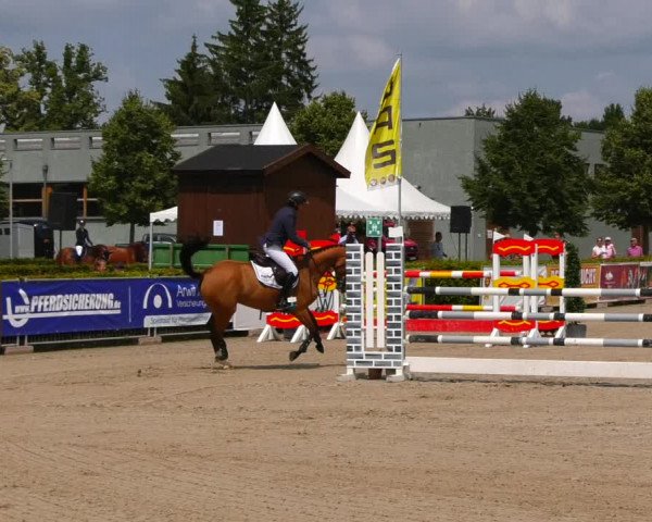 Reitturnier Neustadt/Dosse 2021