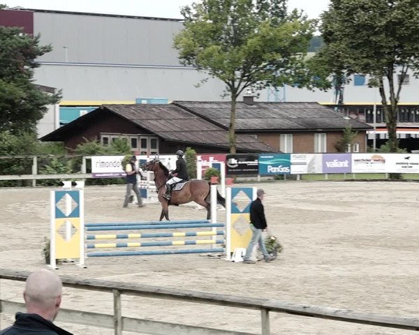 Reitturnier Dagmersellen 2021