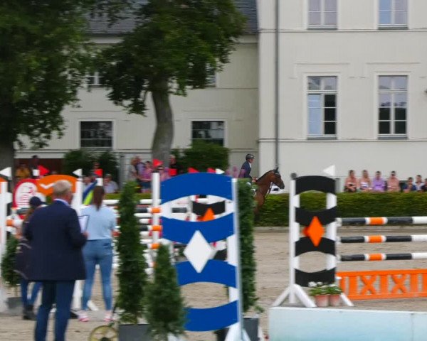 Reitturnier Neustadt/Dosse 2021