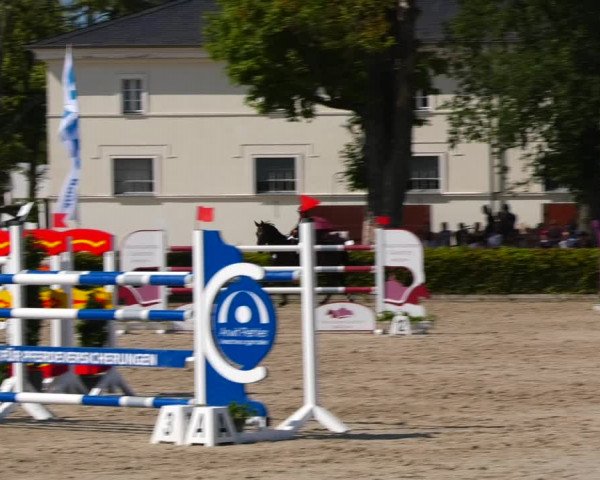 Reitturnier Neustadt/Dosse 2021