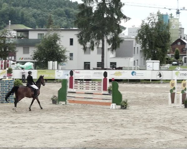 Reitturnier Dagmersellen 2021