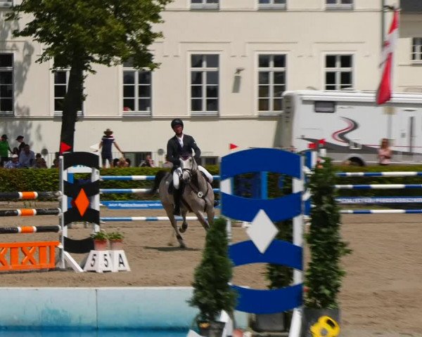Reitturnier Neustadt/Dosse 2021