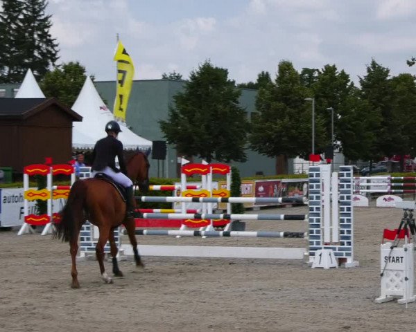 Reitturnier Neustadt/Dosse 2021