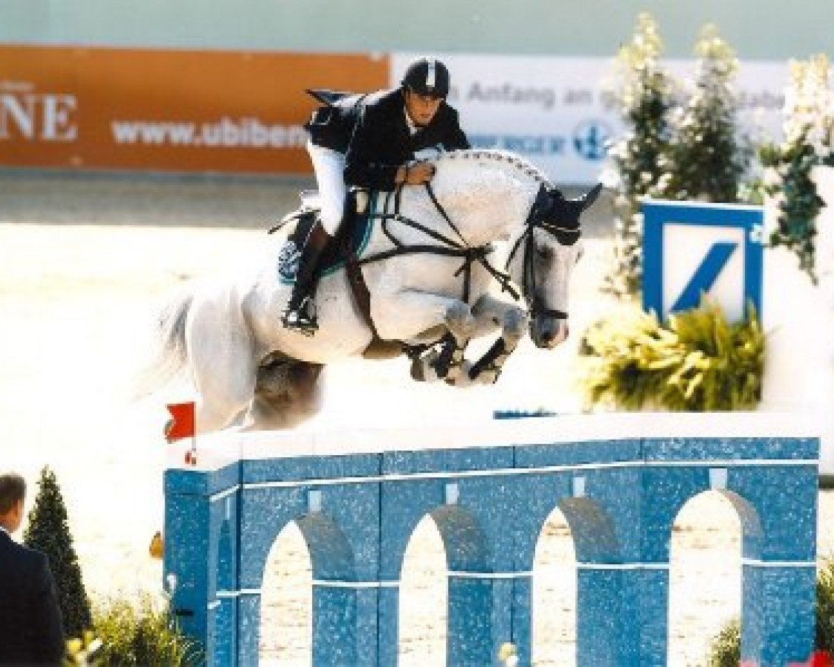 stallion Chiwago 5 (Oldenburg, 1997, from Capitol I)