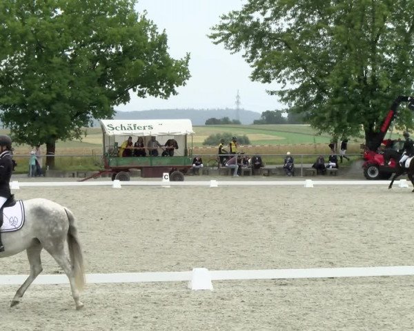 Reitturnier Ehningen 2021
