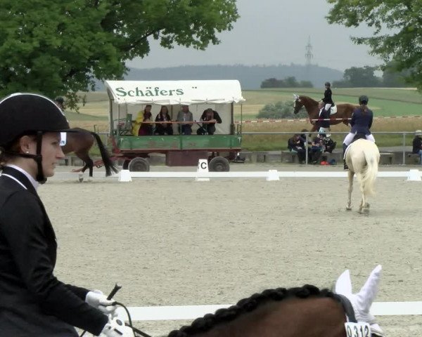 Reitturnier Ehningen 2021