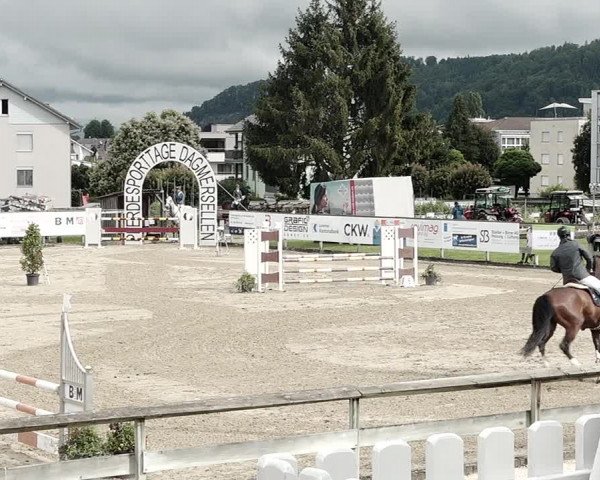 Reitturnier Dagmersellen 2021