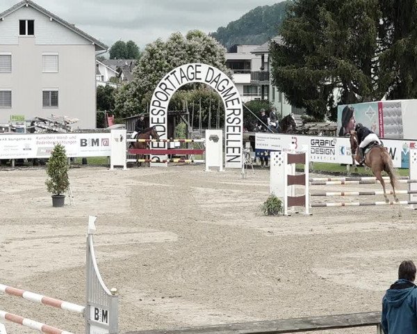 Reitturnier Dagmersellen 2021