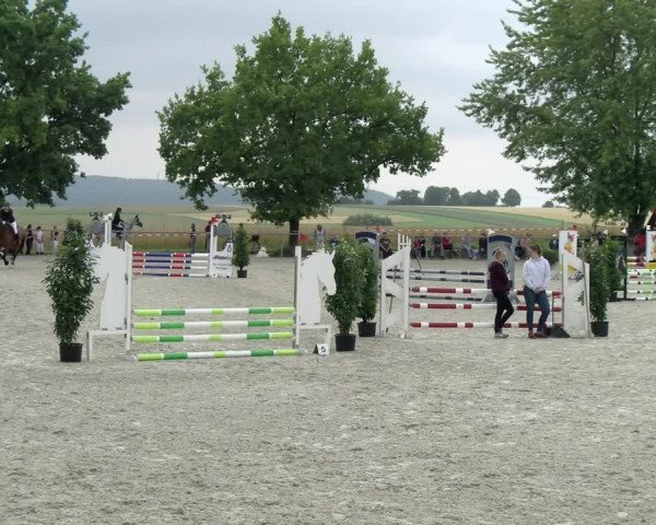 Reitturnier Ehningen 2021