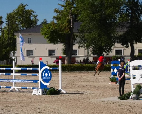 Reitturnier Neustadt/Dosse 2021