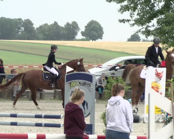Reitturnier Ehningen 2021
