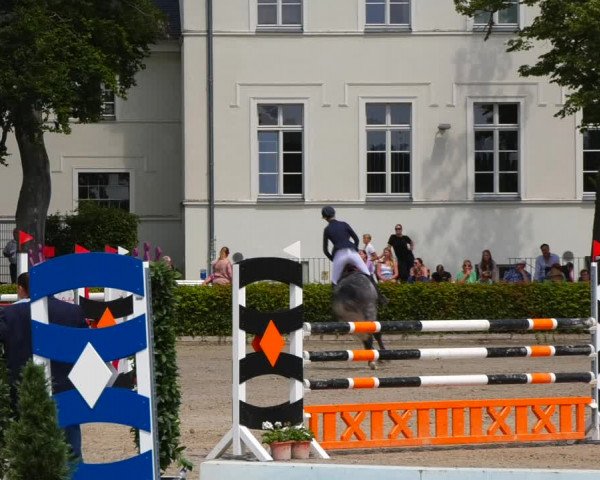 Reitturnier Neustadt/Dosse 2021