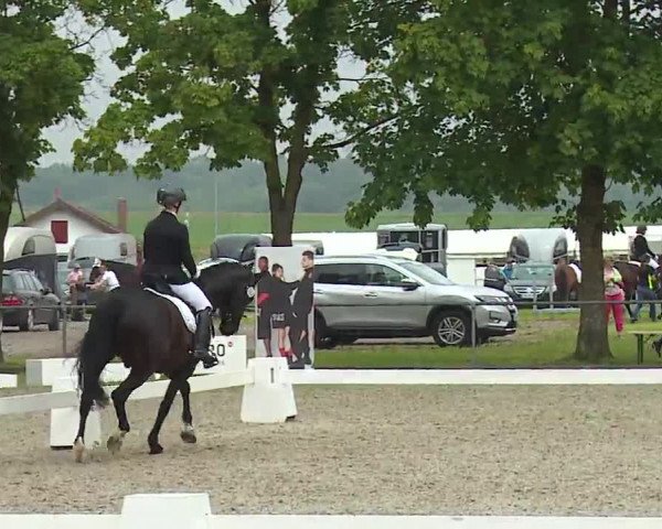 Reitturnier Rot am See- Musdorf 2021