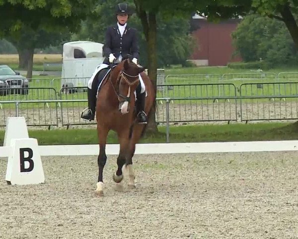 Reitturnier Rot am See- Musdorf 2021