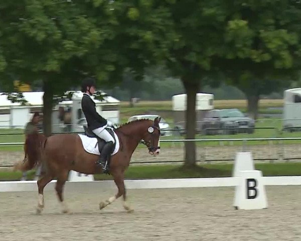 Reitturnier Rot am See- Musdorf 2021