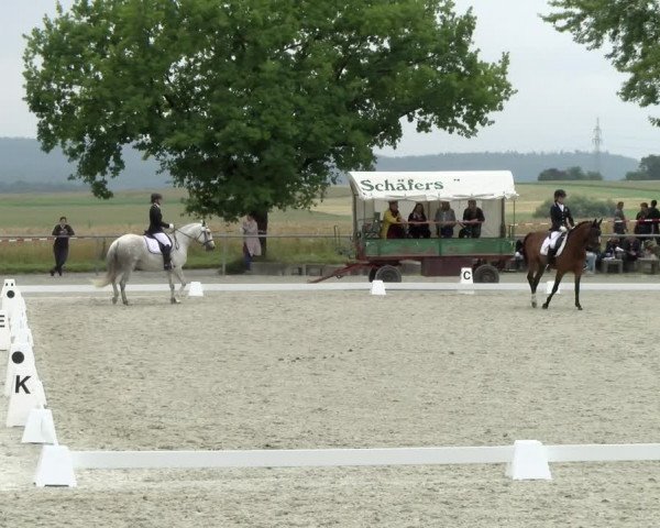 Reitturnier Ehningen 2021