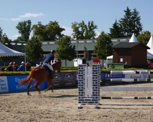 Reitturnier Neustadt/Dosse 2021