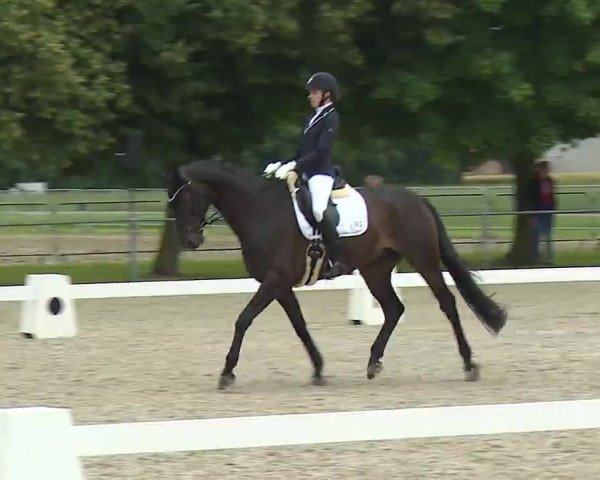 Reitturnier Rot am See- Musdorf 2021