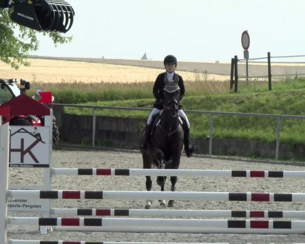 Reitturnier Ehningen 2021