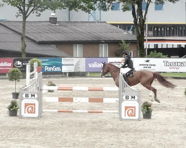 Reitturnier Dagmersellen 2021