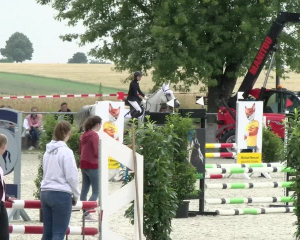 Reitturnier Ehningen 2021