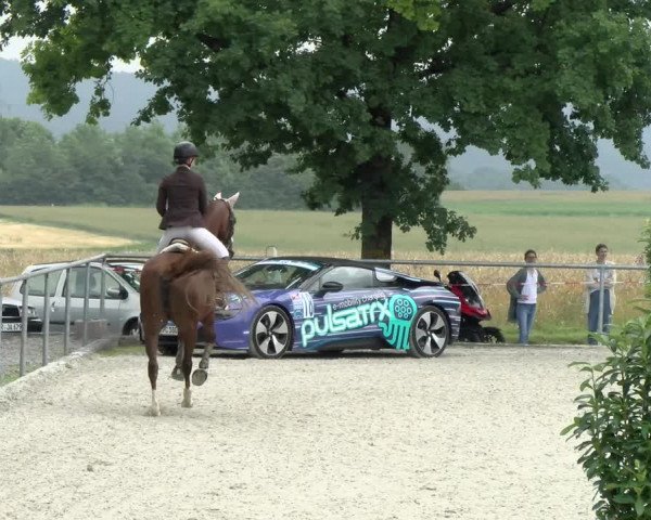 Reitturnier Ehningen 2021