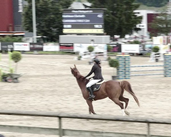 Reitturnier Dagmersellen 2021