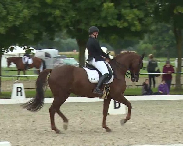 Reitturnier Rot am See- Musdorf 2021
